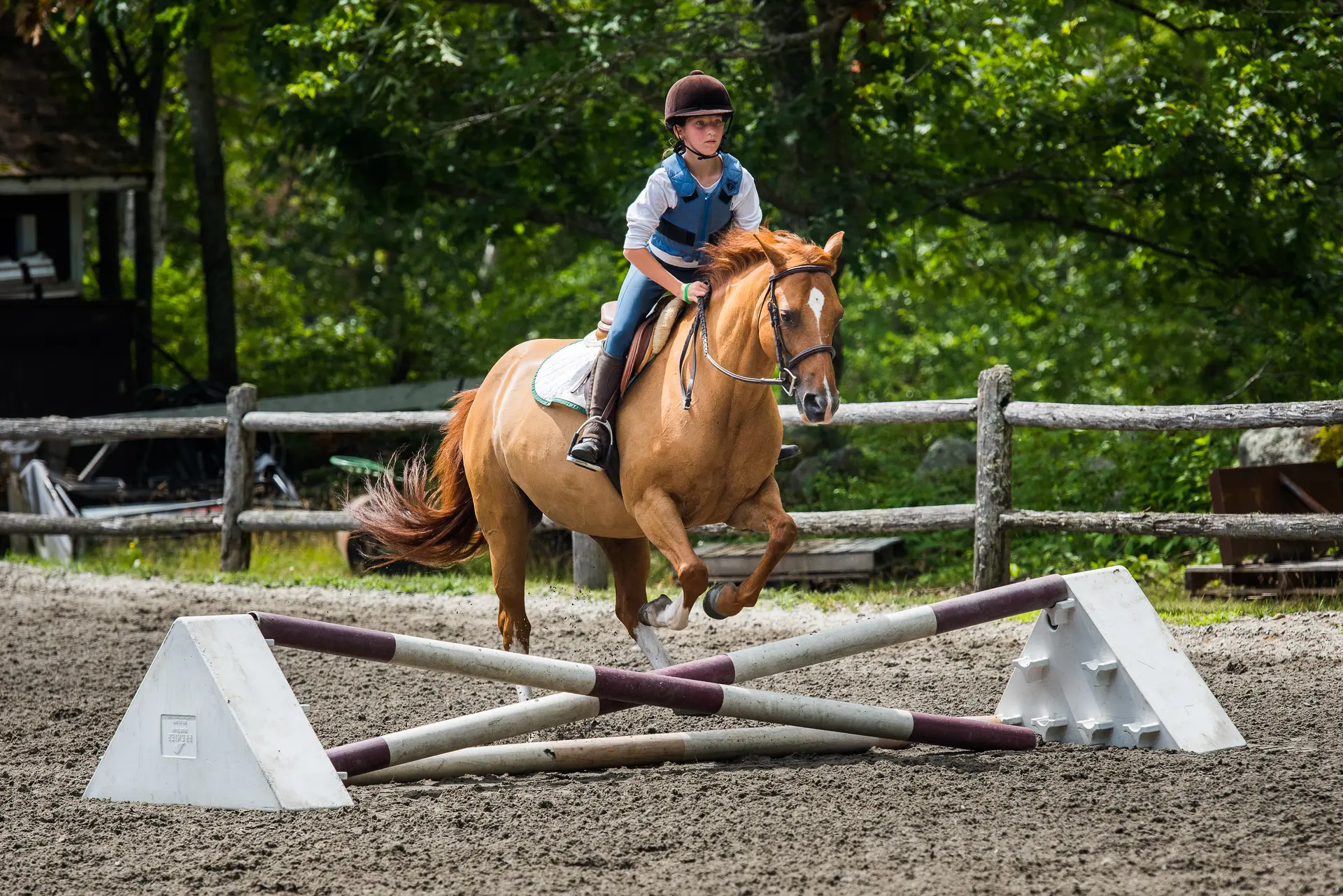Horseback riding